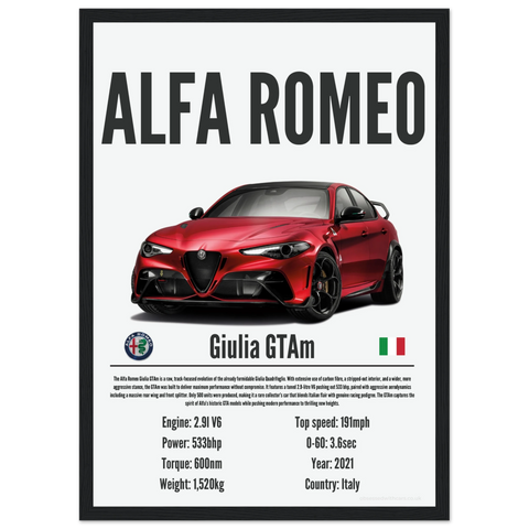 107 Alfa Romeo Giulia GTAm Poster - Precision Collection