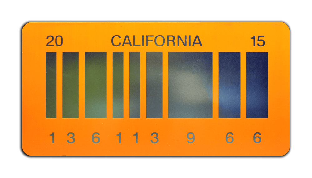 2015 Back to the Future 2 - DeLorean Time Machine | License Plate