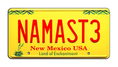 NAMAST3 - Better Call Saul - Howard Hamlin's Jaguar | License Plate